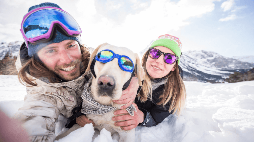 Dog sunglasses between two people