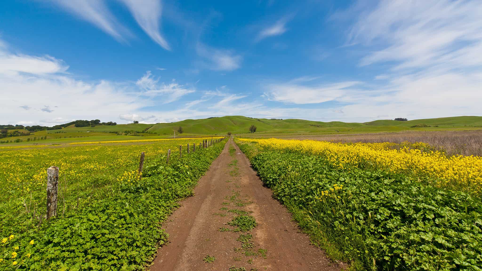 Tolay Lake Regional Park