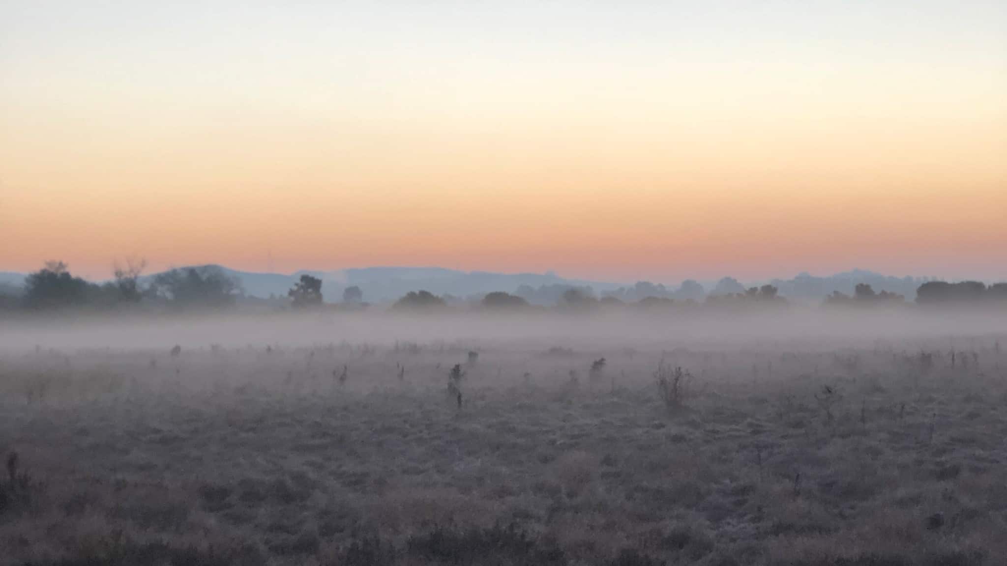 sunrise over marshland with low fog in Petaluma