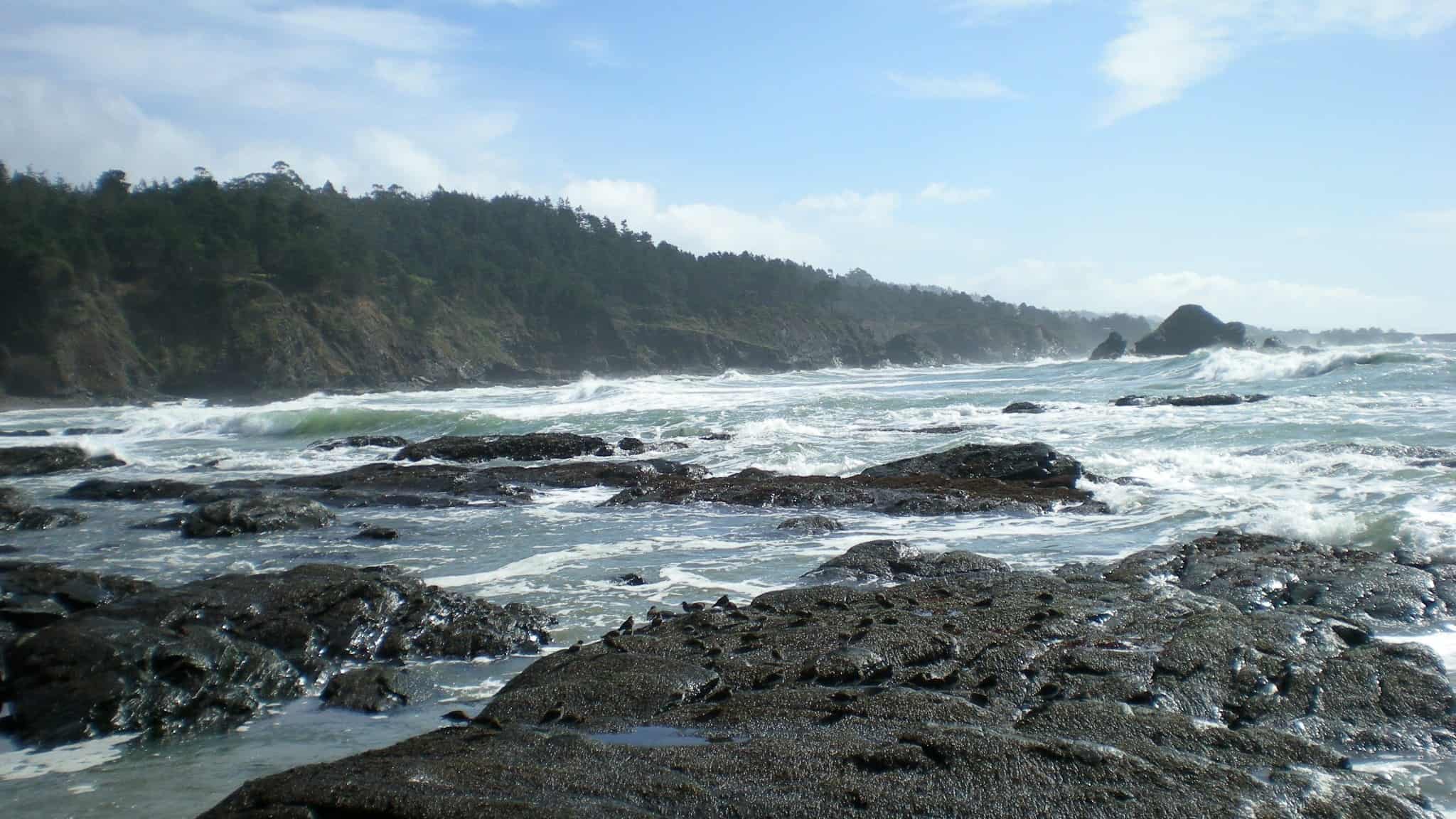 View from Whale Watch Inn