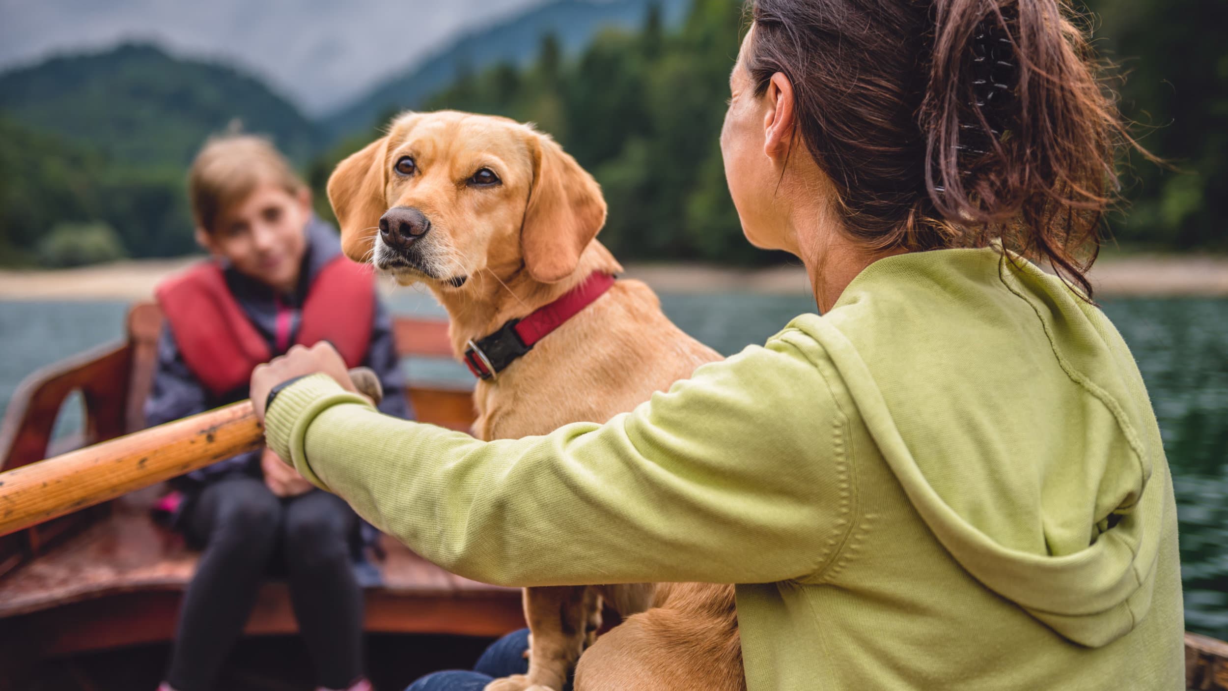 Mother and daughter with a dog rowing a boat