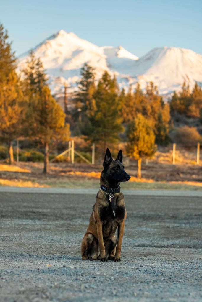 Mount Shasta