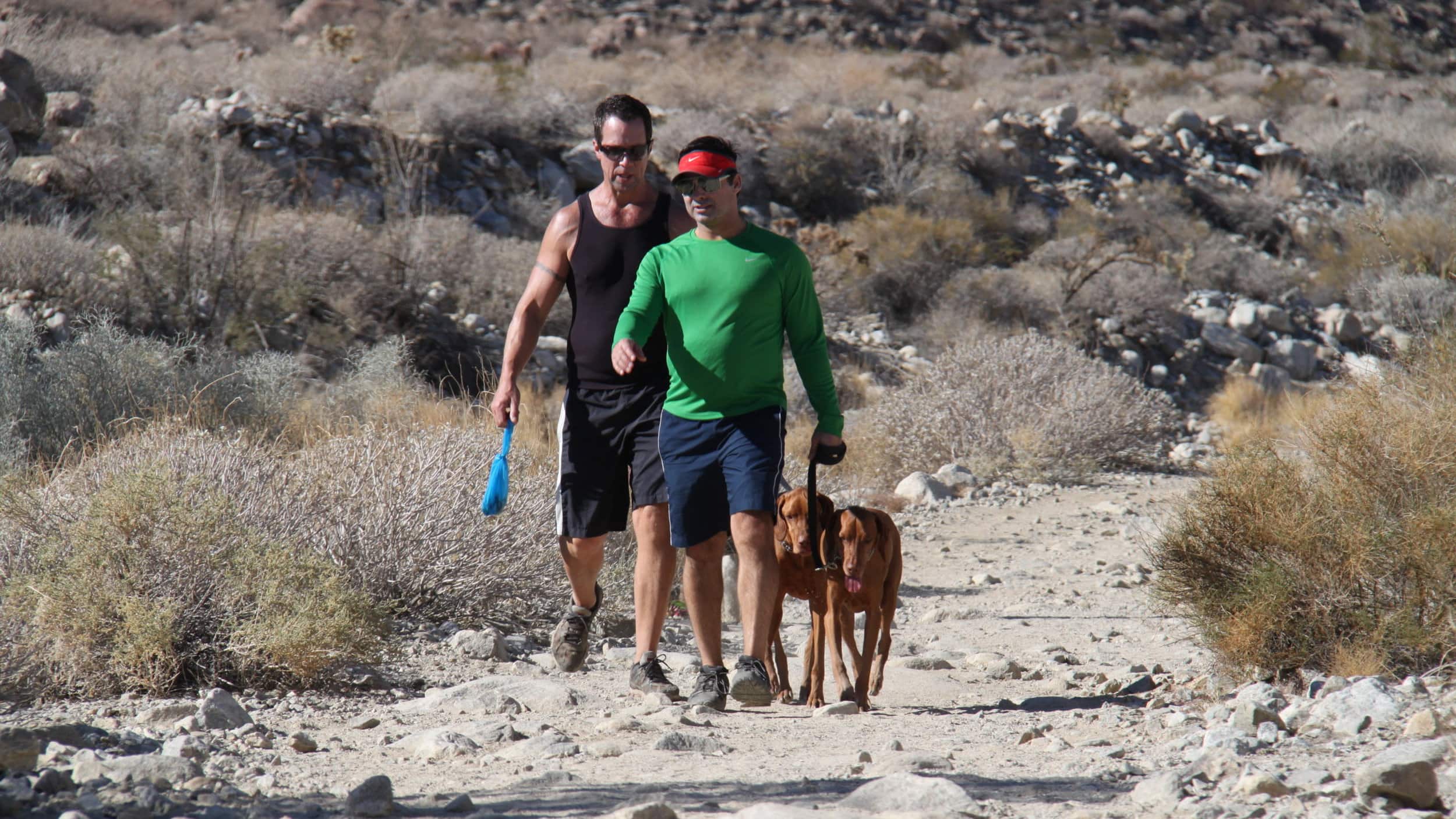 Dog walking with 2 people on a trail