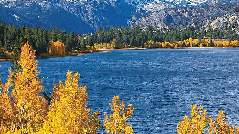 Fall color Eastern Sierra