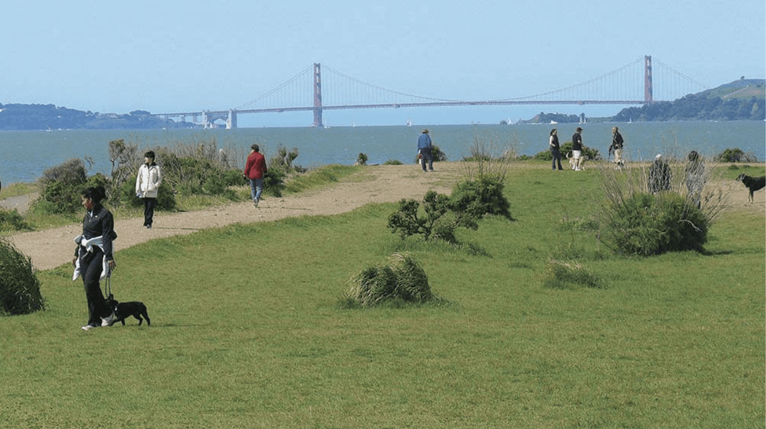 Crissy Field San Francisco