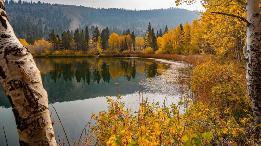 Visit Mammoth Fall colors