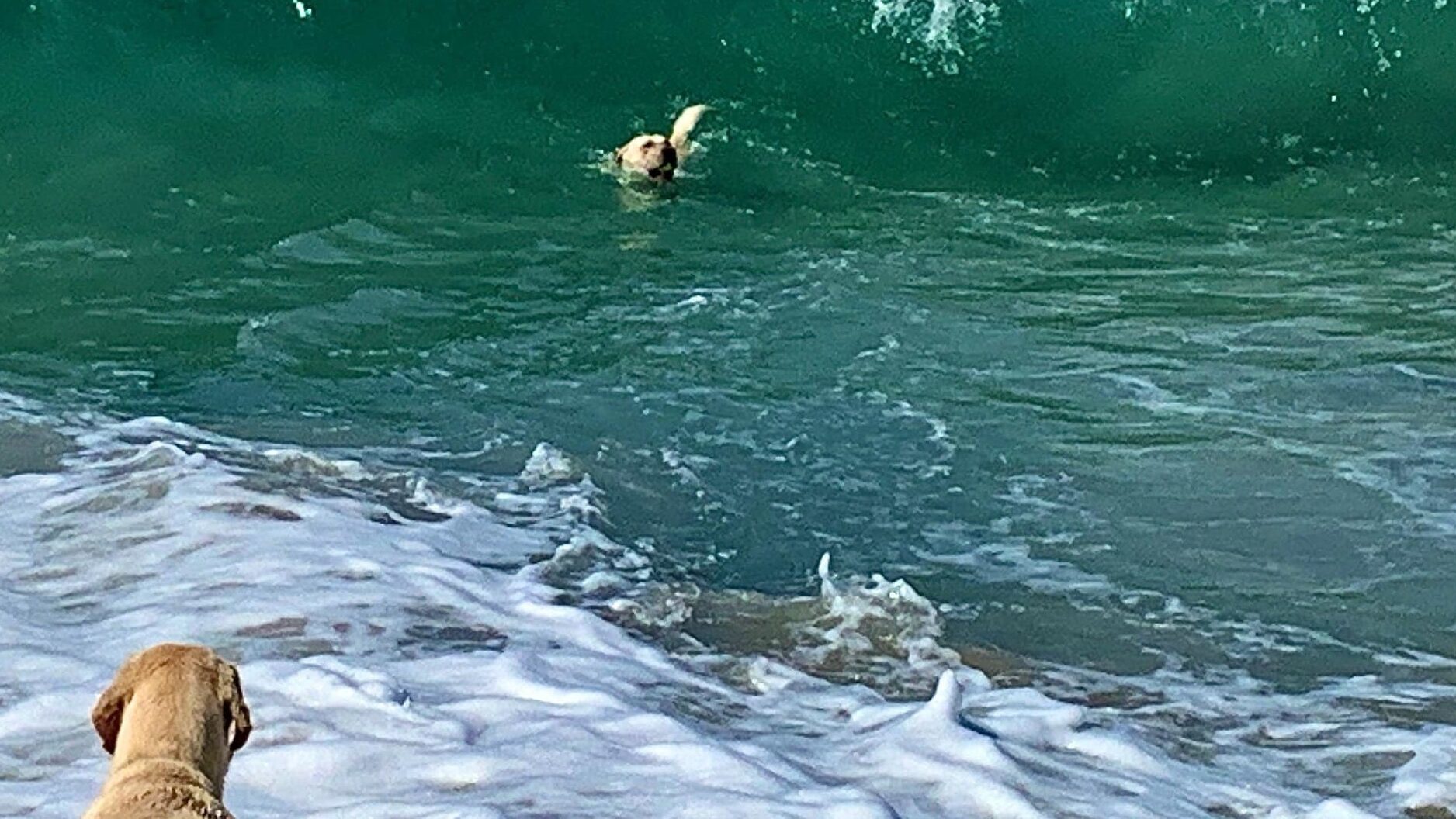 Carmel beach