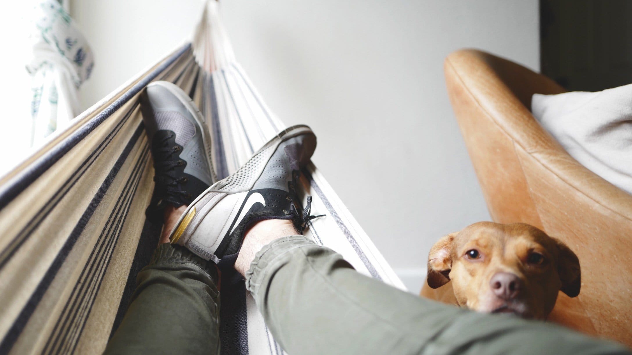 Man rests in indoor hammock with dog watching