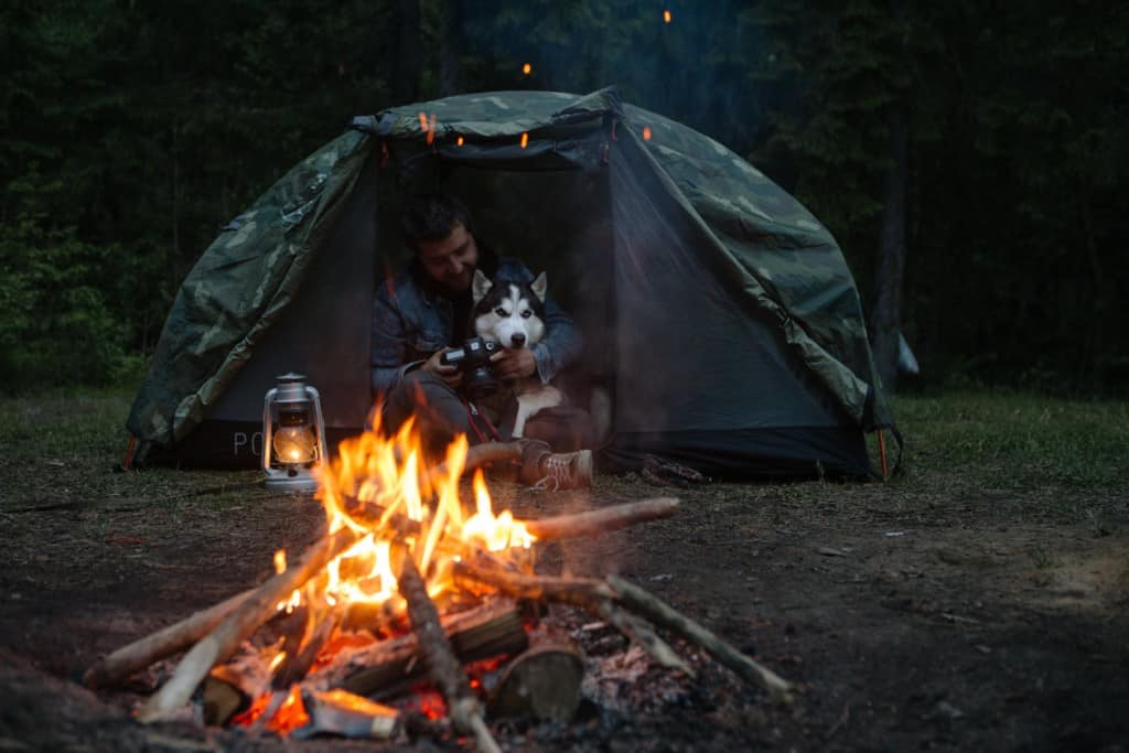 Dog at campground