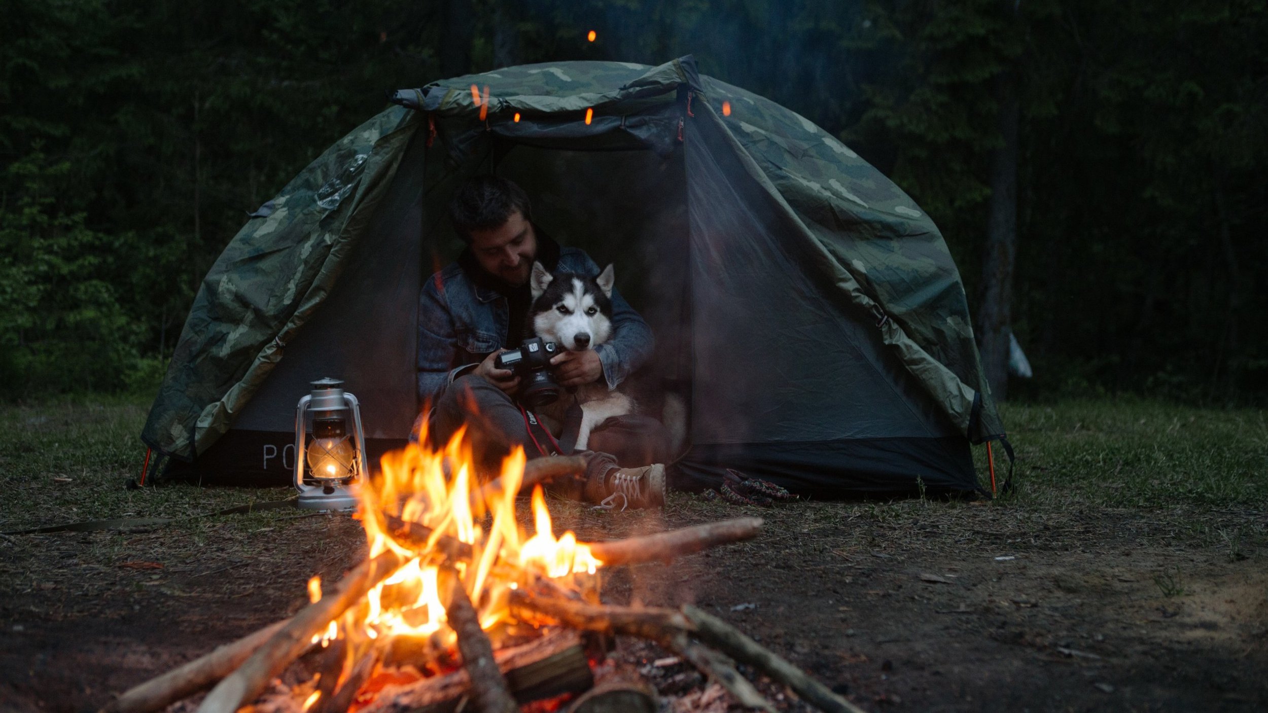 Dog at campground