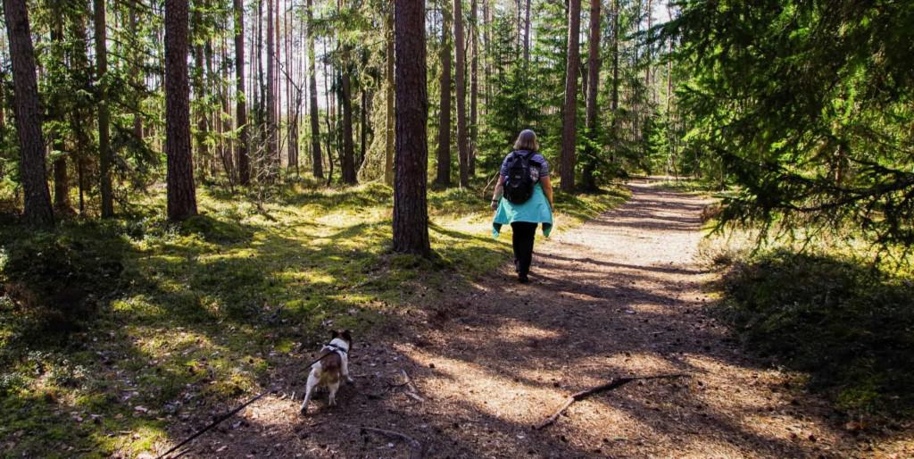 Dog and person walking in Shasta