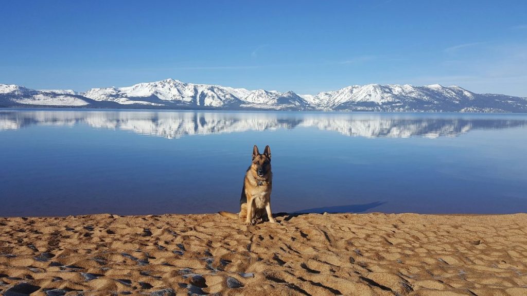 Titan at the Beach