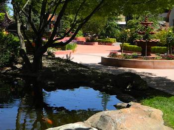 Paso Robles Inn Koi Pond