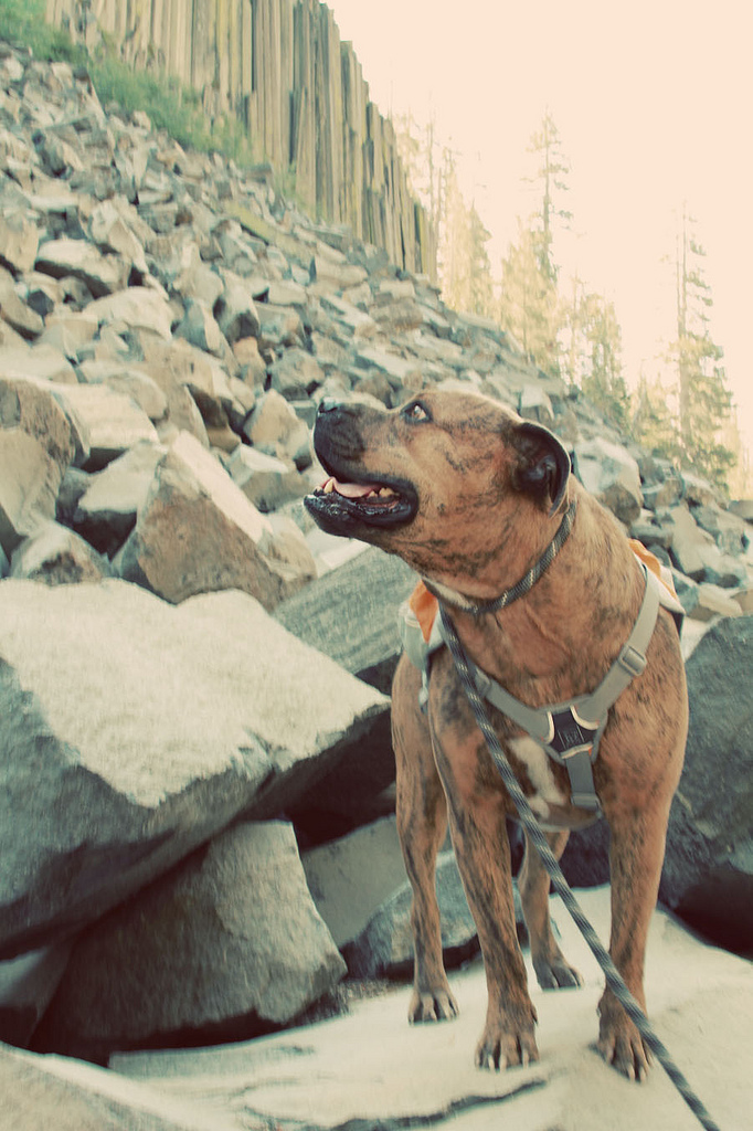 Devil's Postpile