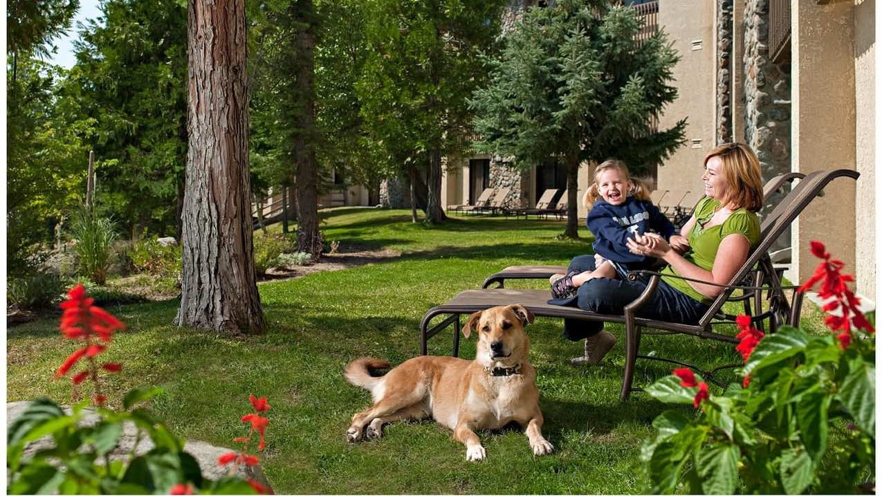 Dog lays on grass in front of Tenaya lodge