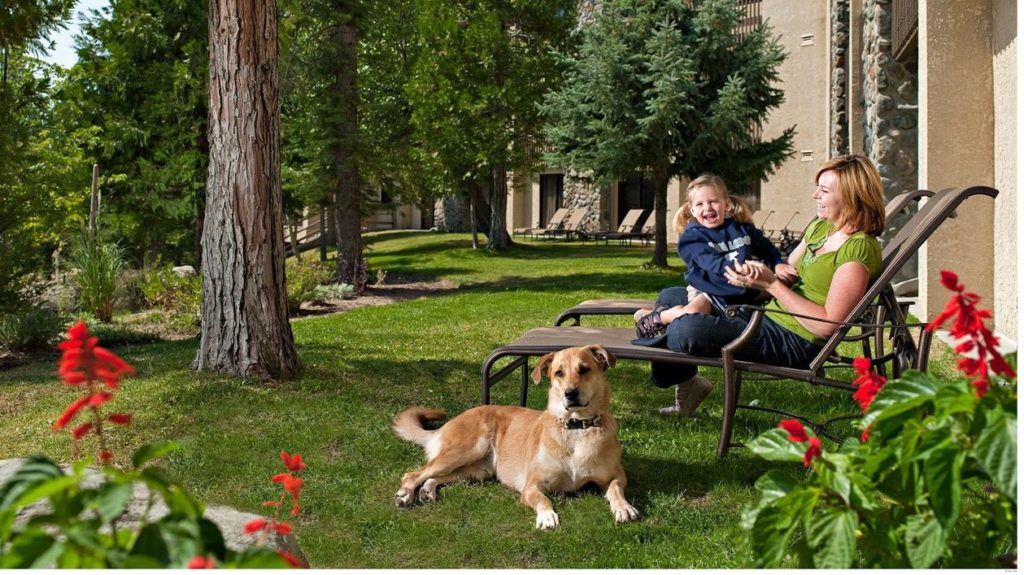 Dog and family at Tenaya Explorer cabins