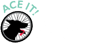 Ace it! Bike Tours