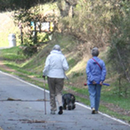 hikers