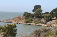 Albany Bulb