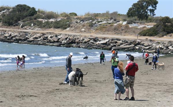 Albany Beach, July 2012