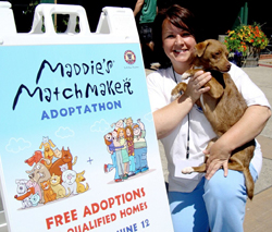 Maddie's Matchmaker Adoptathon