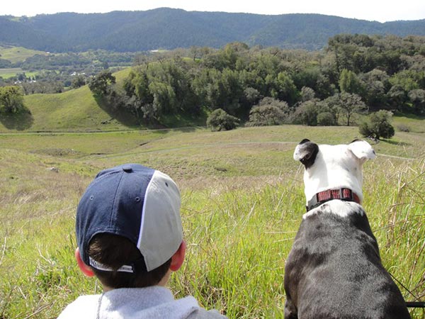 boy and dog overlooking hills sheep dung boonville downtown