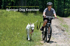 springer dog exerciser