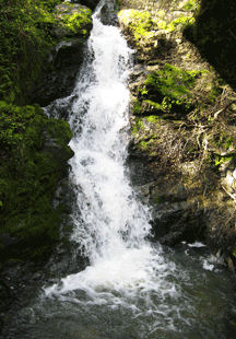 Cascade Canyon Falls