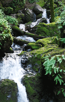 Cataract Falls in Marin County