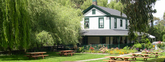 Cline Cellars picnic area