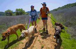 Hiking at Cronan Ranch Regional Trails Park