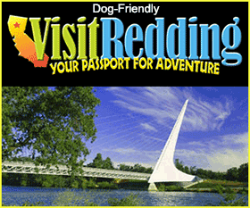 Dog-Friendly Redding