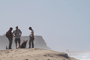 Walking the dogs near the Ritz Carlton in Half Moon Bay