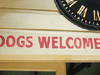 Dogs welcome