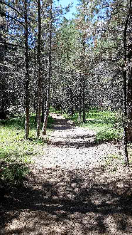 trail to Donner Lake beach