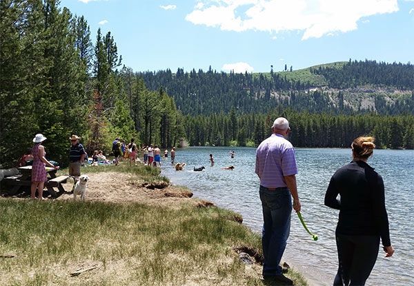 Donner Lake dog beach