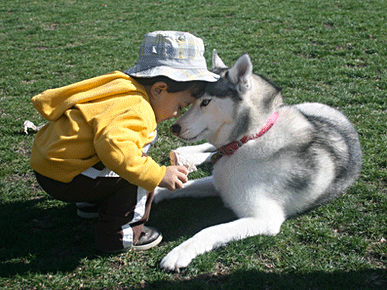 Boy and his dog