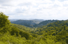 Higher Ground: Vista from MacDonald Trail