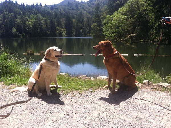 Kayla and friends at lake