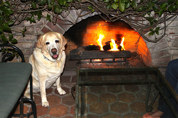 Kayla on the patio at Cypress Inn