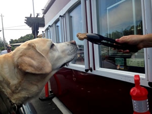 Kayla at the drive thru