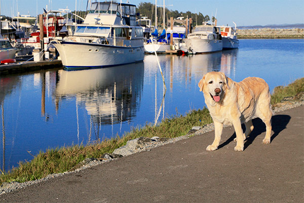 Kayla near the boat slip