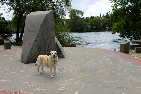 Kayla near Sacramento River in Redding