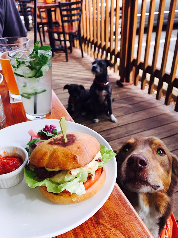 Lucky Penny outdoor seating