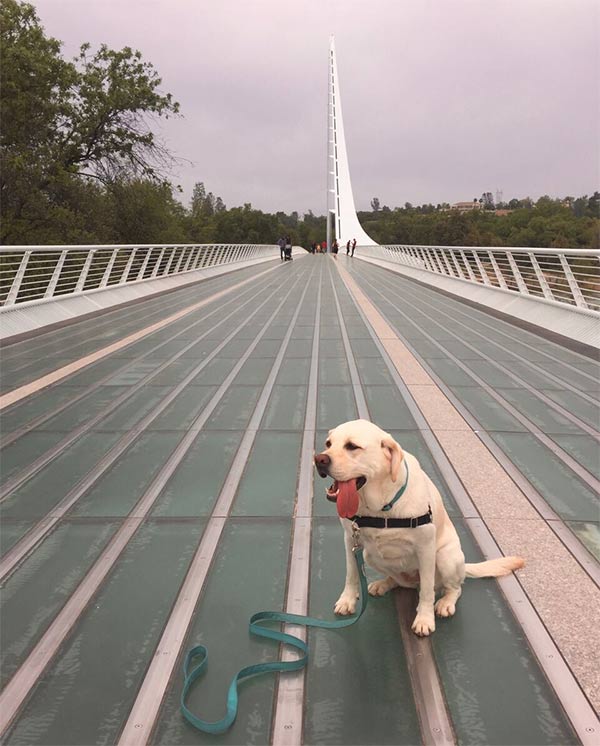 Maya at Sundial Bridge, Redding