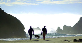 Mendocino coast