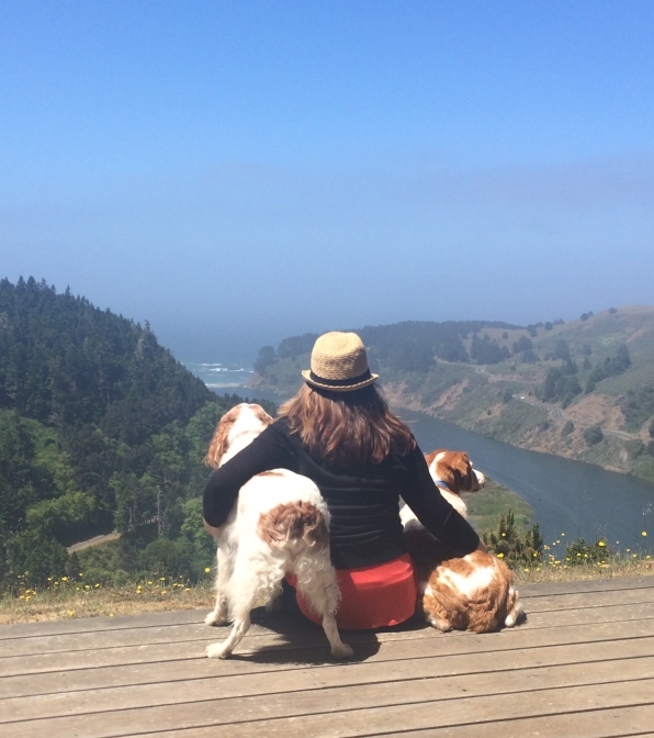 Bird watching in Mendocino