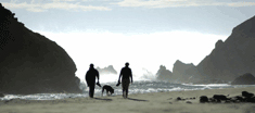 pfeiffer beach