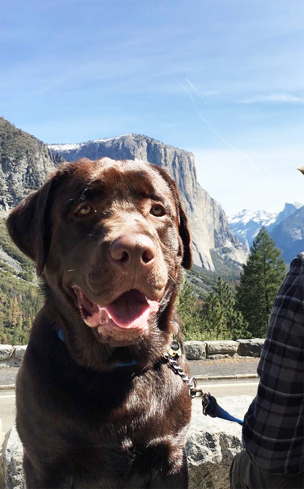 Ranger in Yosemite