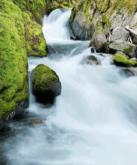 Brandy Falls